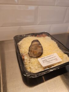 Moussaka